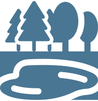 trees surrounding body of water